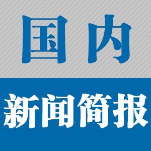 国内资讯